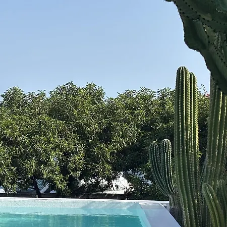 Willa Casa En El Mar Con Infinity Pool Punta Mujeres